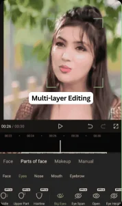 Multi-layer Editing